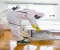Exterminateur Mascouche
